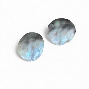 Abalone Shell Clip On Earrings